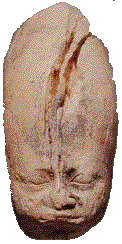 Small limestone head, probably of king Khufu